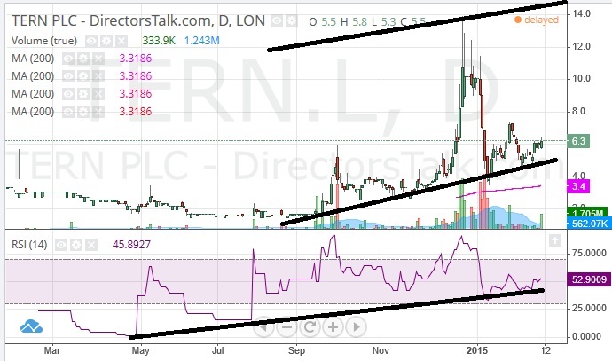 Tern Share price